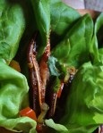 Husk Pig Ear Lettuce&nbsp;Wrap