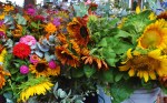 Farmer’s Market