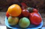 tomatoes of all&nbsp;hues