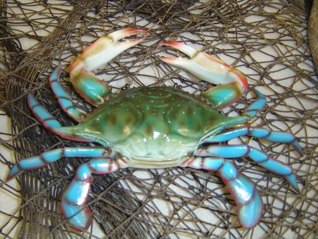 blue-crab-
