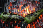 Grilling-Poblano-Peppers