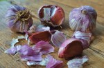 garlic