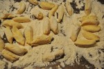 Gnudi before boiling